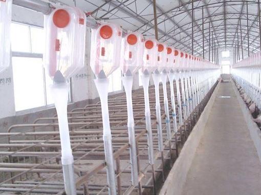 保證豬設備的環(huán)境干燥是非常重要的 保證豬設備的環(huán)境干燥是非常重要的